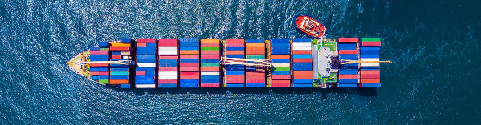 Import Export